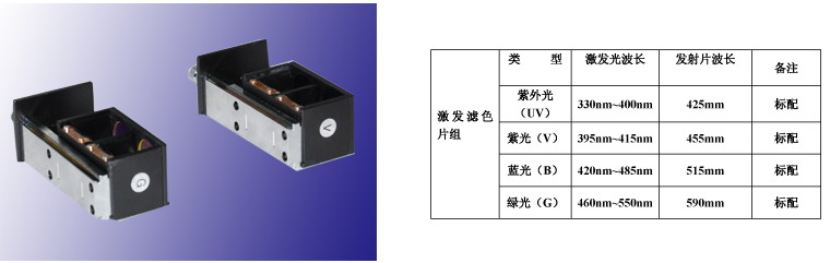 上海點(diǎn)應(yīng)光學(xué)儀器有限公司熒光顯微鏡