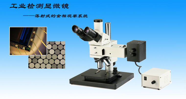 上海點應光學儀器有限公司-金相顯微鏡