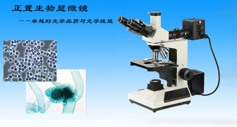 上海點應光學儀器有限公司-生物顯微鏡