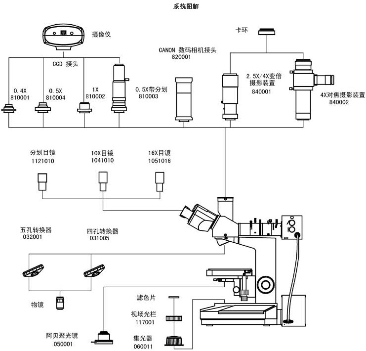 上海點應光學儀器有限公司-生物顯微鏡