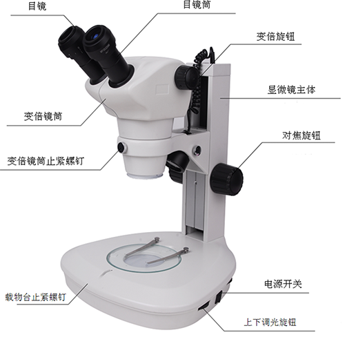 上海點應光學立體顯微鏡ZOOM-590