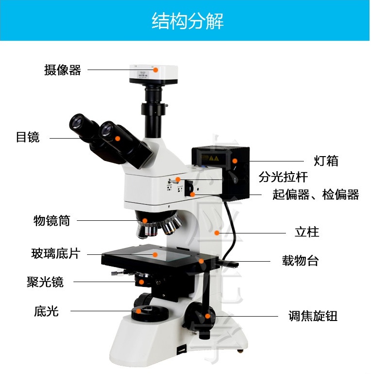 DYJ-950分解圖